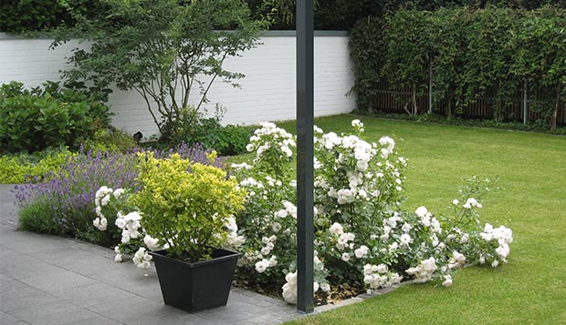 Bild 002